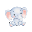 Daxiang , 象便宜机场