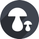 Mogu , 蘑菇便宜机场