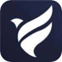 Feiniao , 鸟儿便宜机场