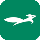 Lvhu , 青狐便宜机场