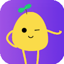 Tudou , 马铃薯便宜机场